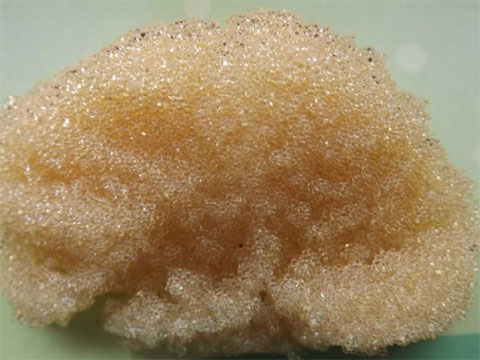 �x�ӽ��Q��֬