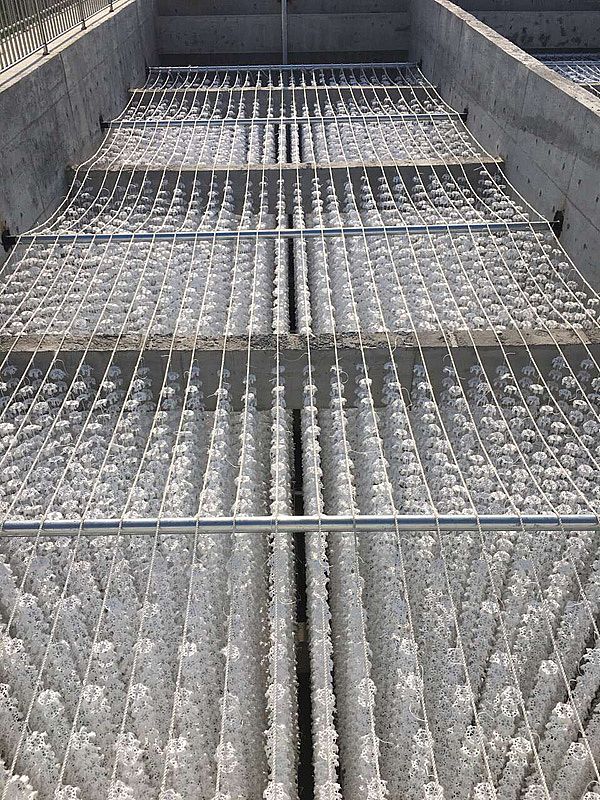 �M���������a(ch��n)��