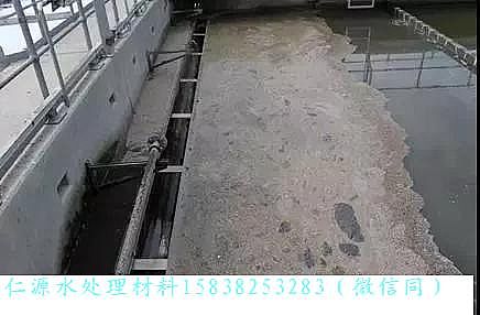 ��Դ��x�Ӿ۱�ϩ����HPAM�S��?gu��)����߽�������Wassmannsdorf ��ˮ̎��S