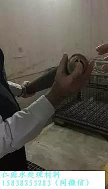 ��Դ��x�Ӿ۱�ϩ����HPAM�S��?gu��)����߽�������Wassmannsdorf ��ˮ̎��S