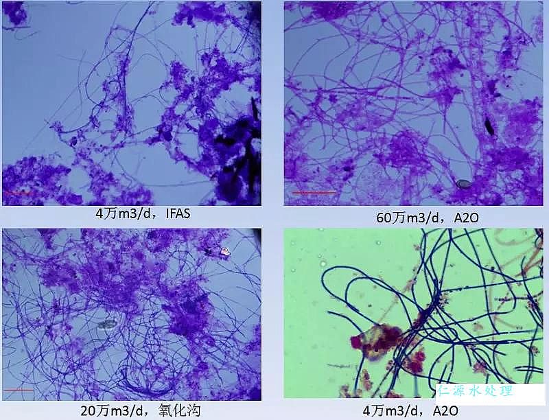 �ۺ��Ȼ��X��x�S���C����ˮ̎������(j��)������傀(g��)�P(gu��n)�I��(w��n)�}