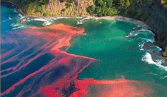 ���������V�ϏS��Ԕ��ˮ�w���I�B������������ԭ���ͼ��g��ʩ