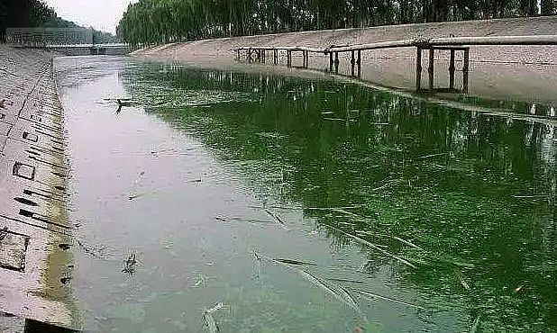 �o��ú�V�����a�S�ҳ��кڳ�ˮ�w����