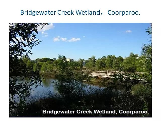 ���d�F�V�ϏS���OӋ�˹����ȫ�D����