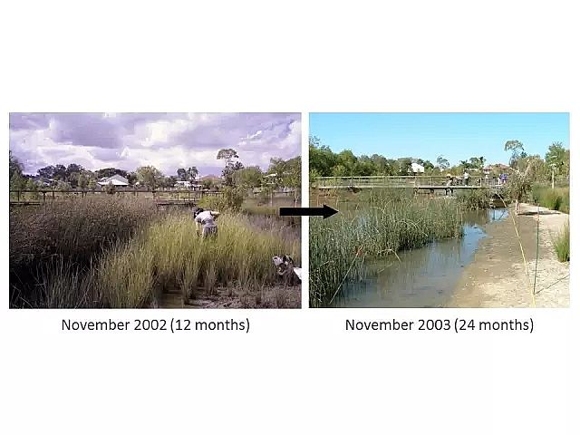 ���d�F�V�ϏS���OӋ�˹����ȫ�D����