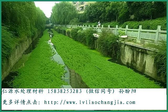 �����V�ϏS�ҽ����ڳ�ˮ�w�����İ˴��`�^