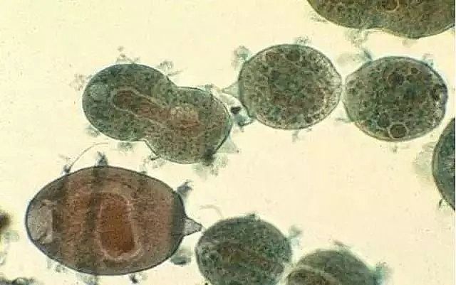 ��ĭ�V��V��EPS�S�ҹ��I(y��)ˮ̎�����g(sh��)�ۻ����y���ܽ^���ƿ̲��ݾ�!