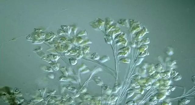 ��ĭ�V��V��EPS�S�ҹ��I(y��)ˮ̎�����g(sh��)�ۻ����y���ܽ^���ƿ̲��ݾ�!