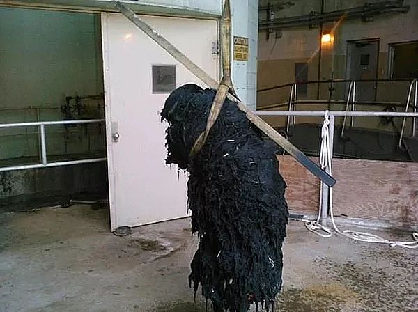 Ҭ������̿���a�S��������ˮ̎��Sÿ���Ƴ�1������