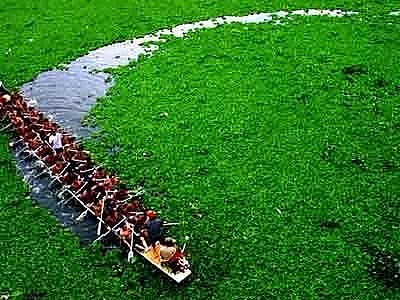 ���Қ��V�ϏS�Ҿ����w�Ї��h��40��