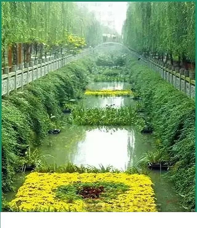 聚丙烯酰胺PAM生產(chǎn)廠家總結(jié)河道治理誤區(qū),道明今后治理方向