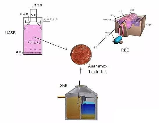 �w�S��V�ϏS�҅�����������ȫ��İlչ