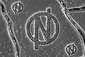 �Y���Ȼ��X���a�S�ҬF�����ȼ��g�O�䌢�����10�����ˮ�SͶ��ʹ��