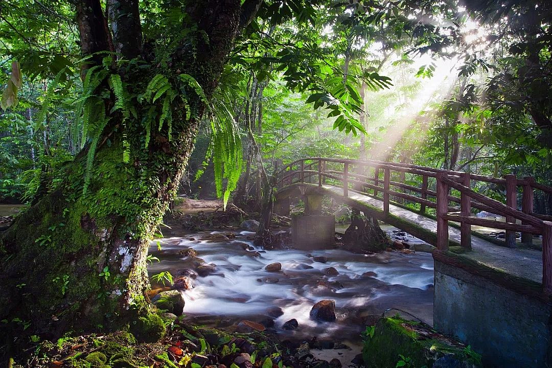 HPAM��x�Ӿ۱�ϩ�����S�ң�����ˮ�����ѽ�������45�|�꣬�Ҳ���Ҫ���