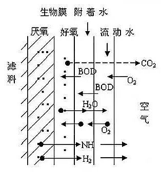 ˮ̎��ˎ���������c���a�S������֪��������Ĥ֪�R�����@