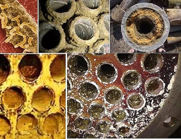 ���g�蹸���S��ѭ�h(hu��n)��sˮϵ�y(t��ng)�еĳ��e�Ｐ�����