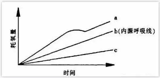 ϡ����ɰ�V�����a�S�ҏUˮ�Ŀ�����������ô����?�Д������������Щ����?