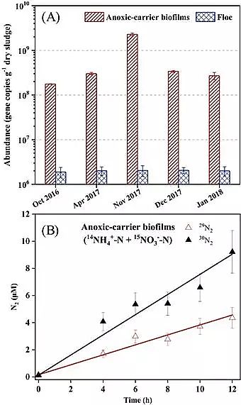 ���|��������������MBBR���a�S�����ͺ����M�W�������غ㶨������ȱ��MBBR(�Ї�ĳ������ˮ̎��S)�Ѕ���������Ó��ؕ�I