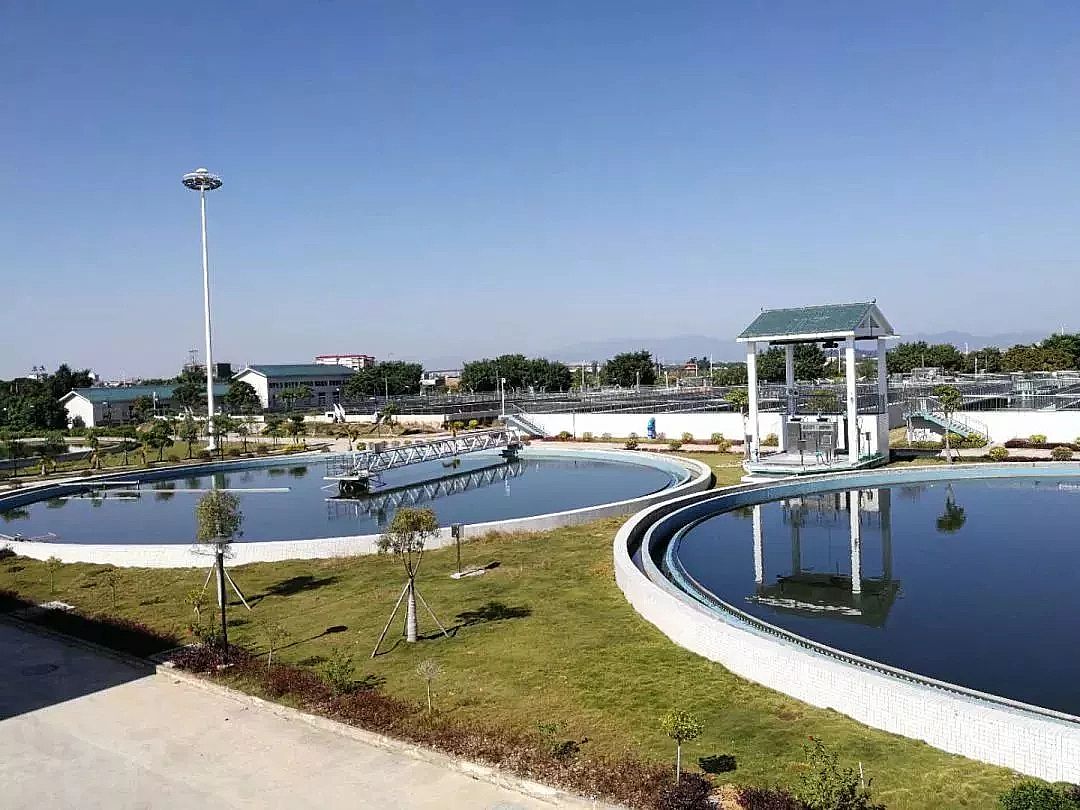 2019�ꇊ�F����ۺ������FPFS���a�S�Ұl���Բ��VS�Բ�����������������ˮ̎��S��������ƾ�?