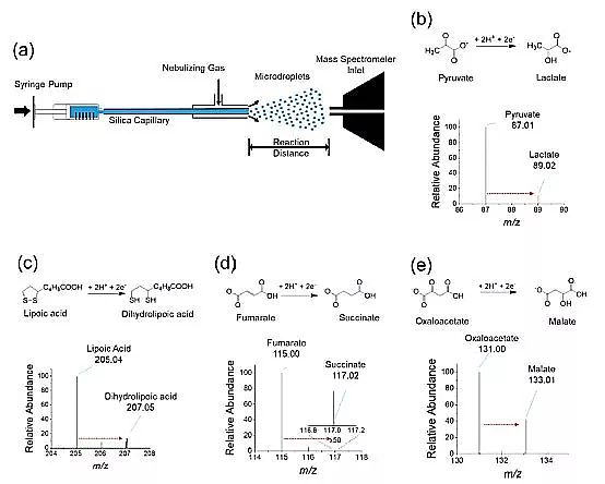 2019�����၆�F�S�����W߀�ǿƌW?΢�׼�ˮ�ξ��Ǹ�Ч߀ԭ��