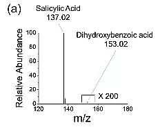 2019�����၆�F�S�����W߀�ǿƌW?΢�׼�ˮ�ξ��Ǹ�Ч߀ԭ��