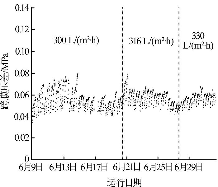 ����ϡ����ɰ�V�ϏS���մɳ��VĤ��늏S���Wˮ̎��ϵ�y(t��ng)�����еđ���