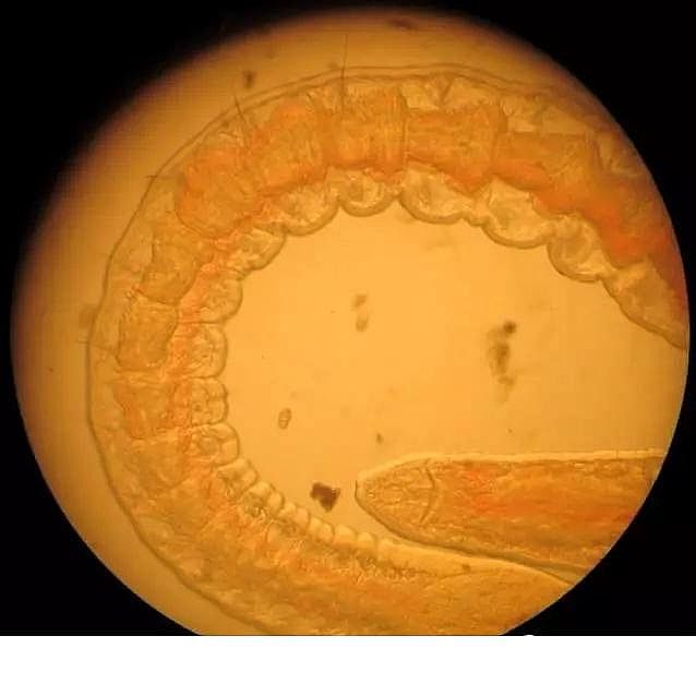 ��(y��u)�|(zh��)�����V�ϏS����ˮ̎��ָʾ��΢�����ȫ!����������