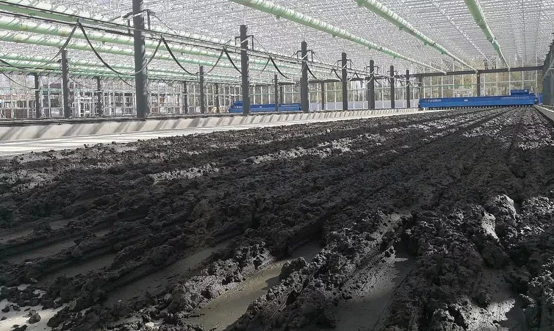 ������x�Ӿ۱�ϩ�������a�S������̎��̎�õĶ��x�����ڵĆ��}�ͽ�Q����