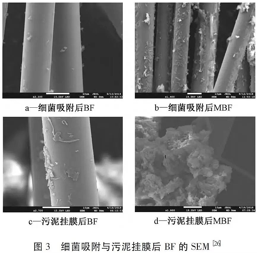 ��Դˮ̎���w�S��V�ϏS�Ҹ�������r�w�S���ϵ�ˮ̎�����g������