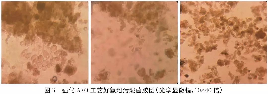 ��Դˮ̎���w�S��V�ϏS�Ҹ�������r�w�S���ϵ�ˮ̎�����g������