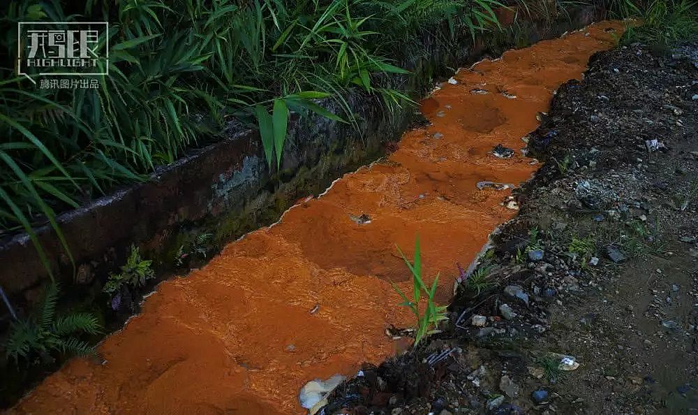 2019��Aʽ�Ȼ��X�S�Ұl���ؽ��ٺ͡���ˮ���Ӱ�µĴ��f��ʮ��o���������r�ﱻȾ���F�Pɫ