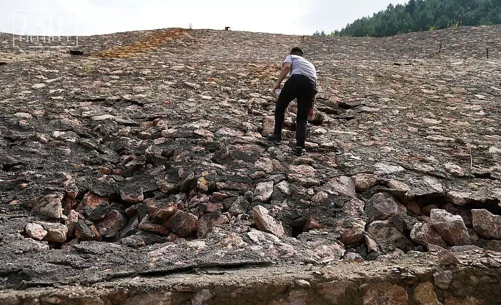 2019��Aʽ�Ȼ��X�S�Ұl���ؽ��ٺ͡���ˮ���Ӱ�µĴ��f��ʮ��o���������r�ﱻȾ���F�Pɫ