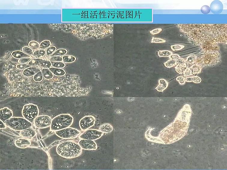 2020��������c���a�S��PPTԔ��������෨ԭ���c����