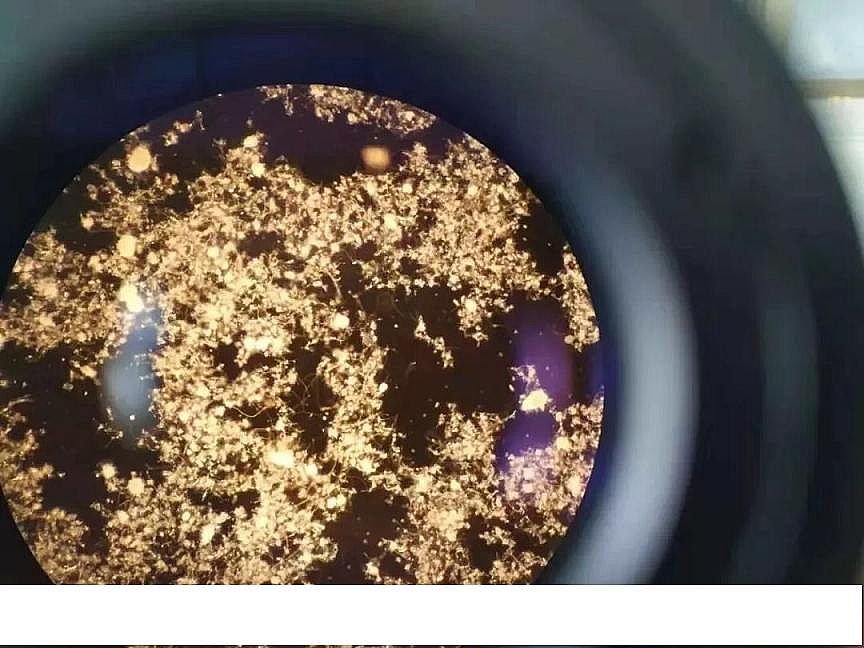 2020��ۺ��Ȼ��FPAFC���a�S����������ϵ�y��Ӱ�