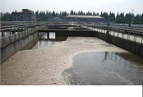 2020����x�Ӿ۱�ϩ����NPAM���a(ch��n)�S�ҽ�(j��ng)�(y��n)!11��(g��)��ˮ̎���\(y��n)�I(y��ng)�еĸй�ָ��(bi��o)