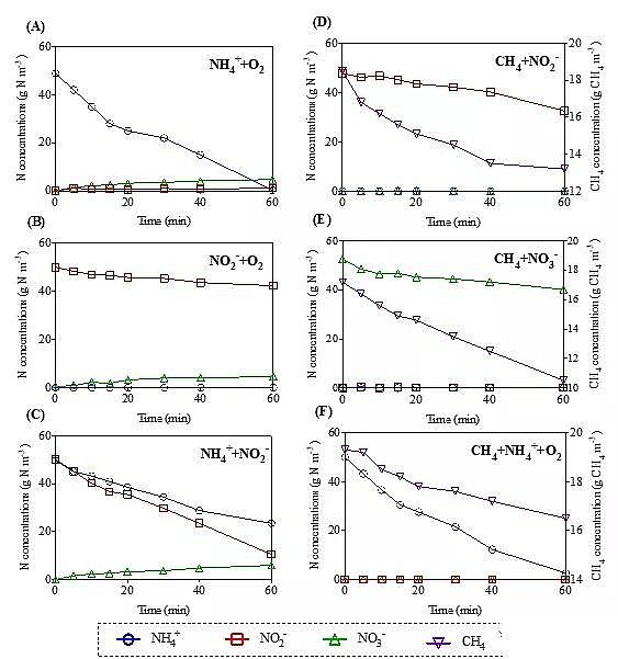 2020���ؚ������a�S��һ��ʽ��ȫÓ���¼��gPNAM���̳�����+����������+������������