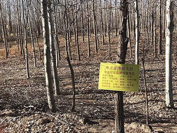 2019�����������V���a(ch��n)�S���v����ɳĮ��Ⱦ�{(di��o)�飺��ұ���I(y��)ǰ������ˮ���