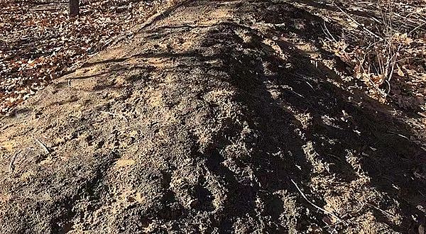 2019�����������V���a(ch��n)�S���v����ɳĮ��Ⱦ�{(di��o)�飺��ұ���I(y��)ǰ������ˮ���