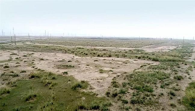 2020��Y���Ȼ��X���a�S�����ۿڔ�ǧ���lΣ�~p���ɣ��S�ӌ�ӭ����O��