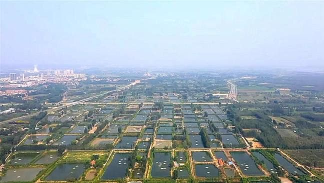 2020��Y���Ȼ��X���a�S�����ۿڔ�ǧ���lΣ�~p���ɣ��S�ӌ�ӭ����O��