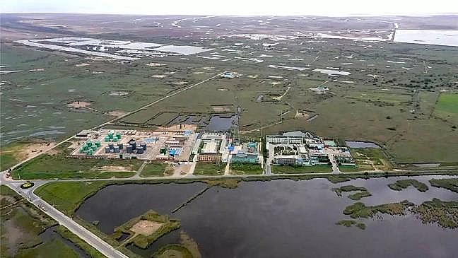 2020��Y���Ȼ��X���a�S�����ۿڔ�ǧ���lΣ�~p���ɣ��S�ӌ�ӭ����O��