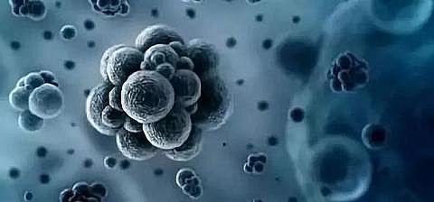 ˮ̎������̿���a(ch��n)�S���������̿�q֪�R(sh��)�՚����������x��?�ƌW(xu��)ԭ��һ�f��Ͷ�!