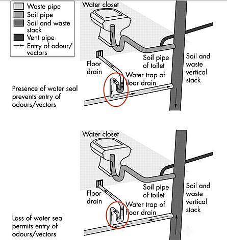 ��Ч�Y���Ȼ��X�S���Pע��ˮϵ�y���Д���йڠ�������ġ��[�Ρ�;�����_���Ӽҽ���