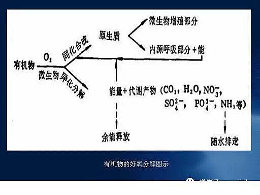 ˮ̎��V�����a�S��ʯӢɰ�V����ˮ̎����ˇ���̈D��Ԕ��