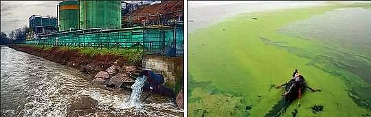 ��Դˮ̎�����Ϲ��w���ׄ����a�S���к��׏Uˮ�YԴ������