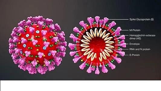 ú�|�w������̿0.5-1mm�S�ҰĴ������о��ˆT�_�l���z�y��ˮ��Covid-19�����ϵ�y