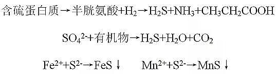 ��Դˮ̎��ˎ���Y(ji��)���Ȼ��X���a(ch��n)�S�ҳ��кڳ�ˮ�w����Ⱦ�F(xi��n)������u(p��ng)�r(ji��)�������������g(sh��)�c��(du��)��