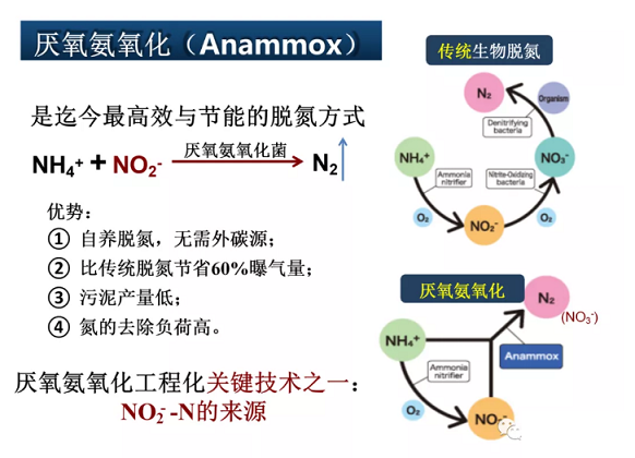 2020����w���ׄ��S����ˮÓ�������о������Mչ