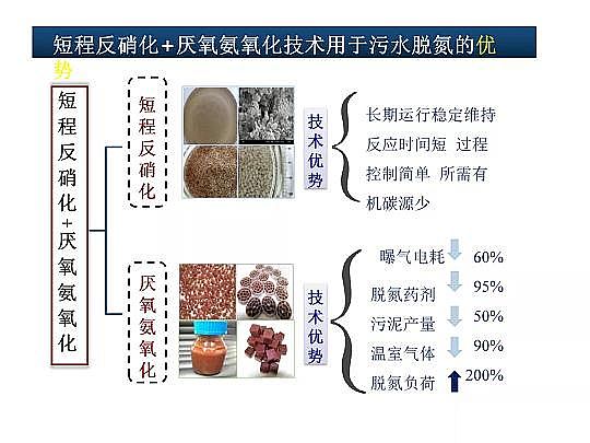 2020����w���ׄ��S����ˮÓ�������о������Mչ