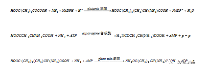 ��Ч�x�ӽ��Q��֬�S��ȫ�����|A2/OؼMBR��BBR��ˇ���x����Ԕ��(x��)!